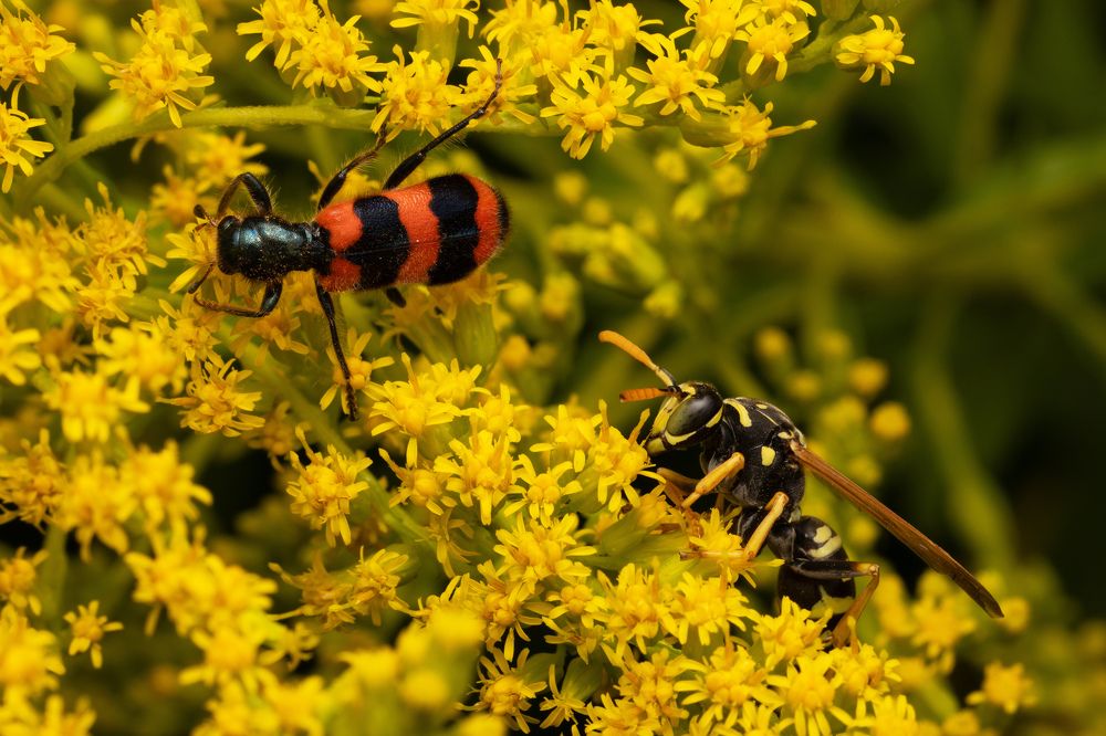 Photograph by Пономарев Илья