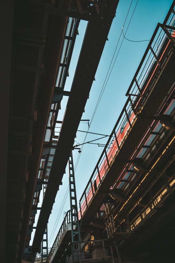 Photograph by Виктория