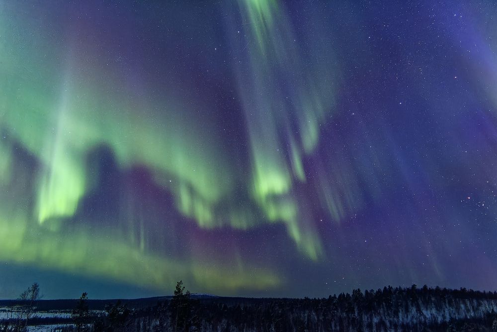 Photograph by Галина Андреева