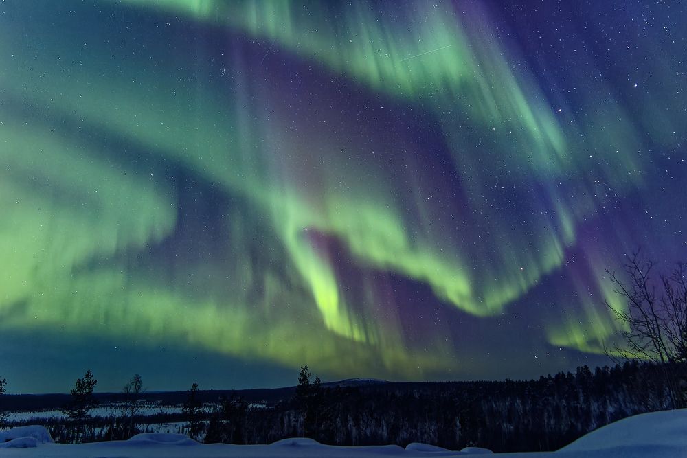 Photograph by Галина Андреева