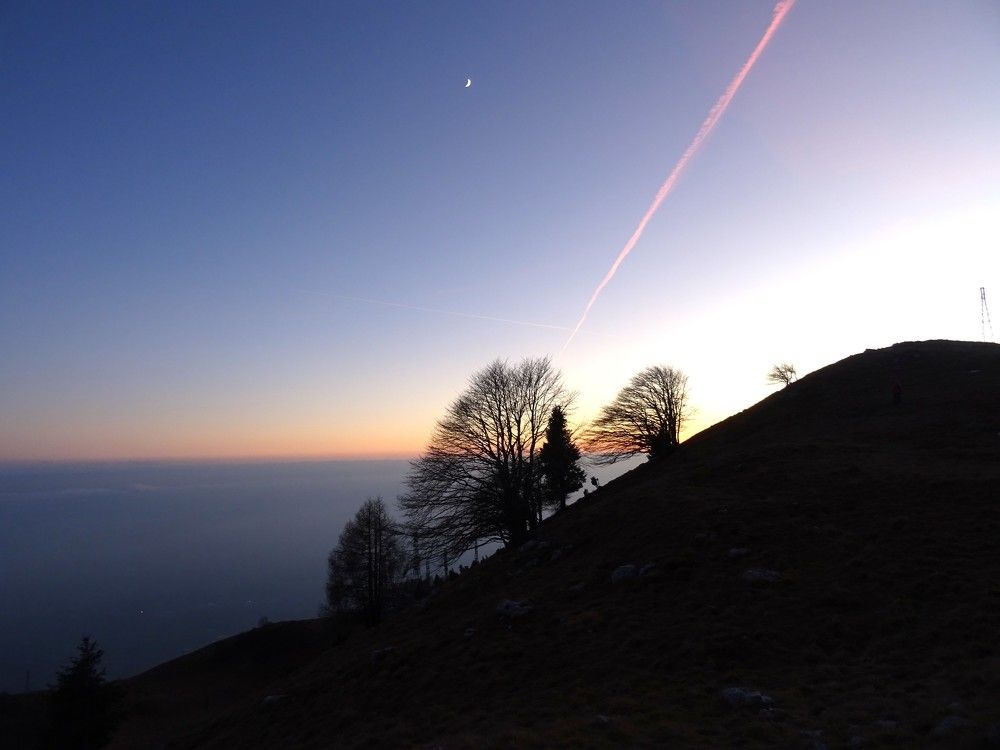 Photo #10412943