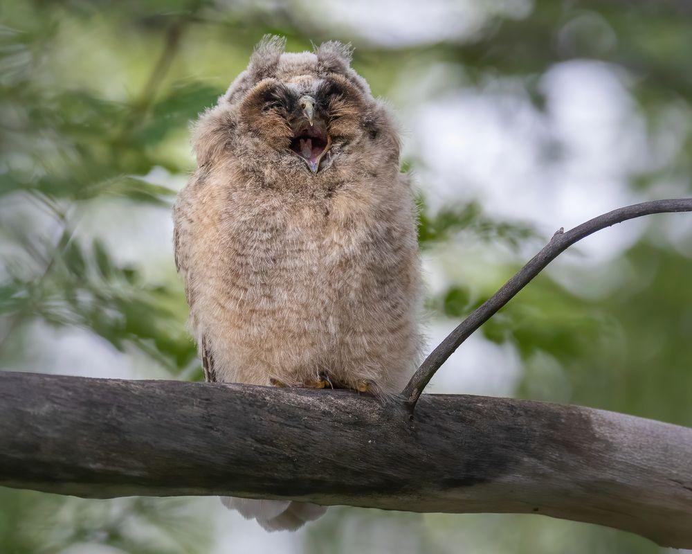 Photograph by Дина Нестеркова