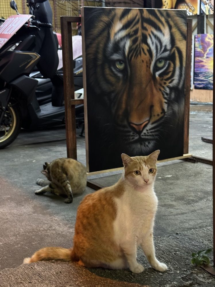 Фотография автора ГУЗАЛИЯ ГАНИЕВА