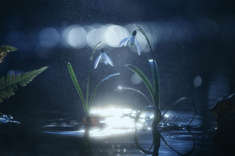 Photograph by Чорный Александр