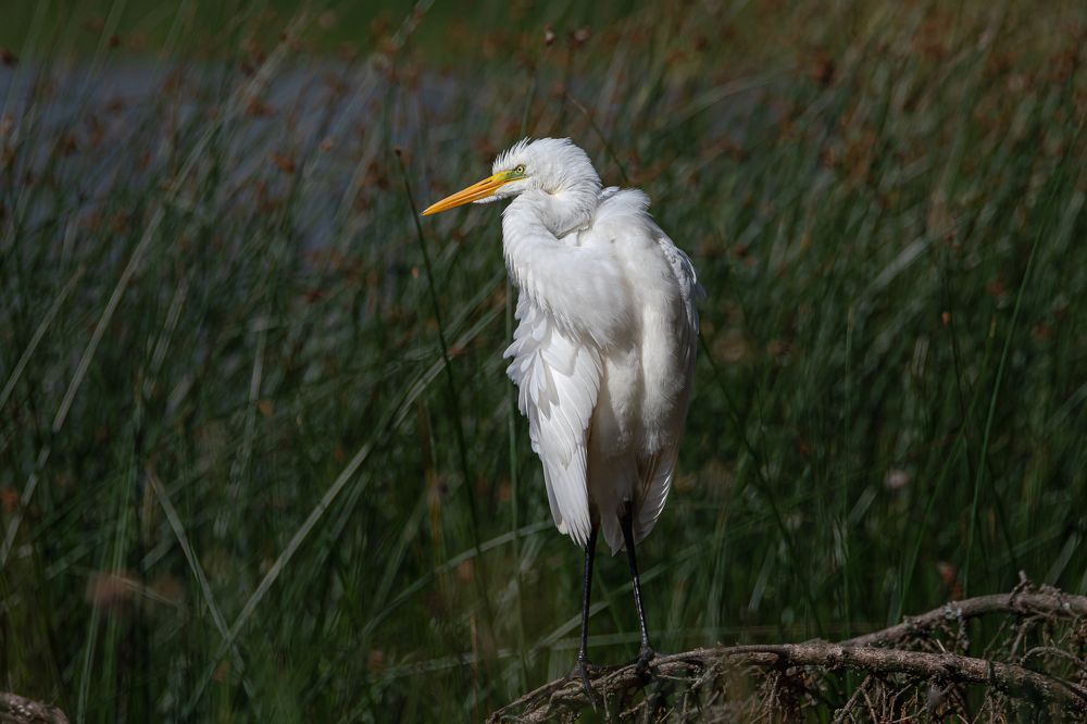 Photograph by Федорако Дмитрий