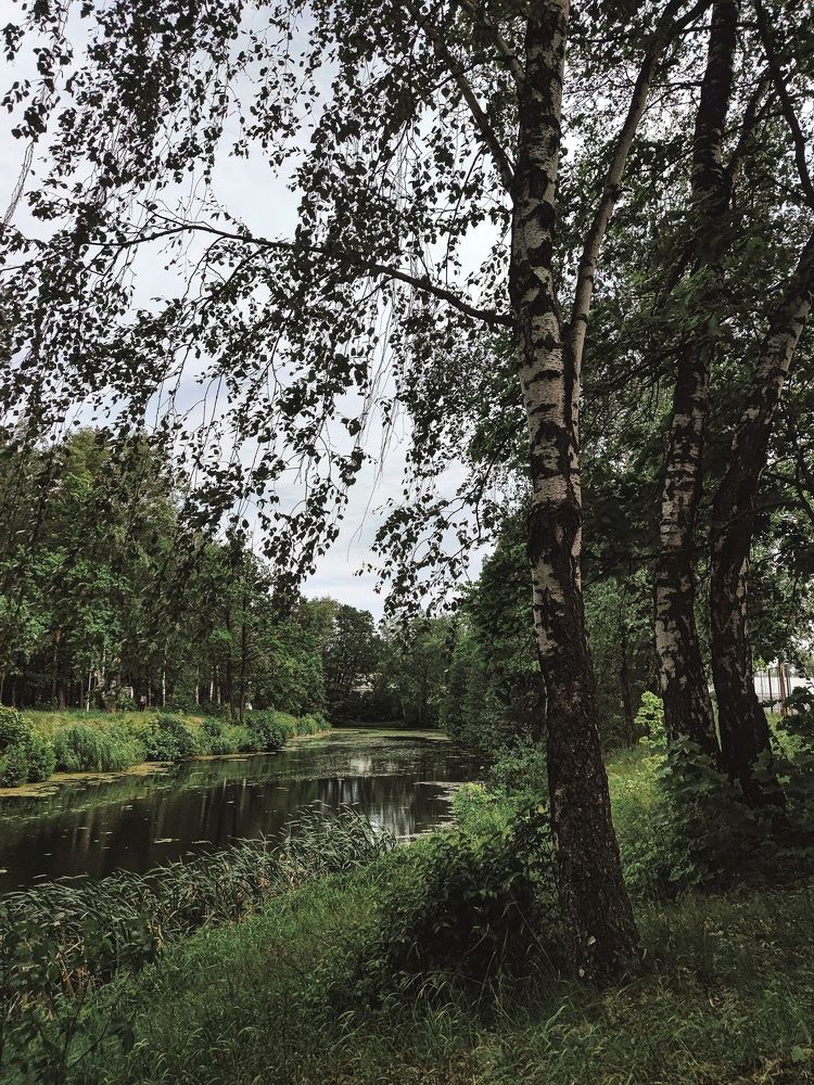 Photograph by Юлия Плаксина