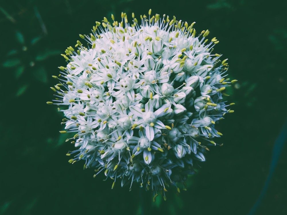 Photograph by Лариса Кузнецова