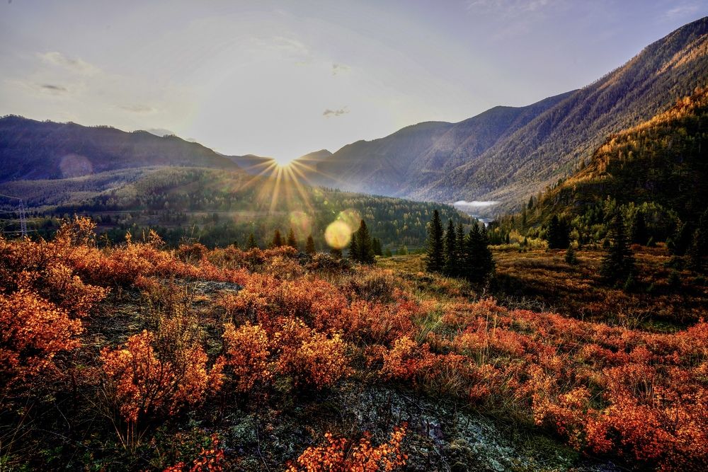 Photograph by Кузнецов Андрей