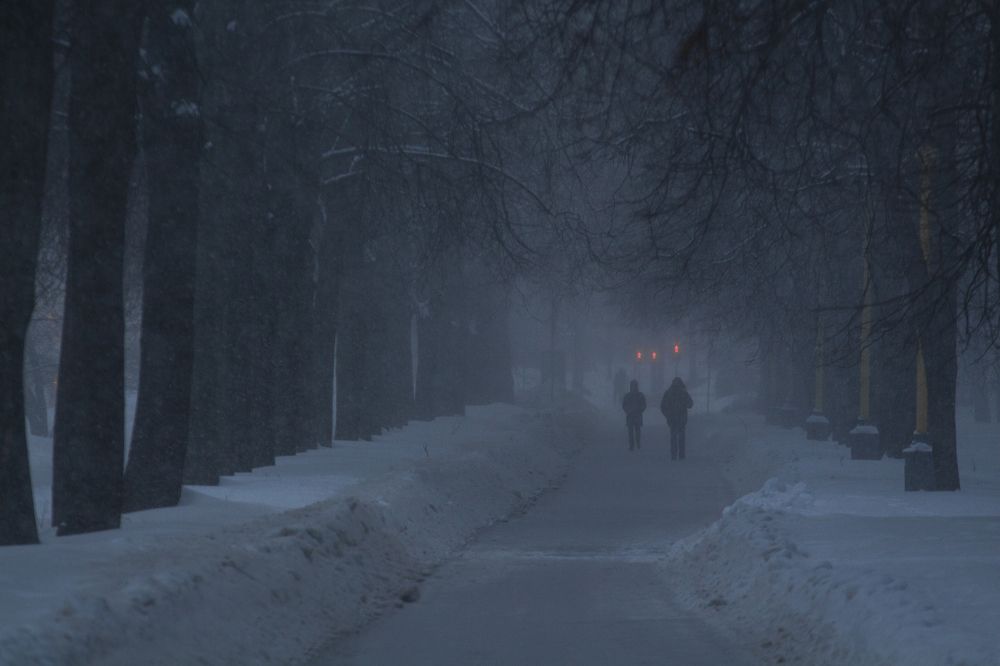 Photograph by Илья Мельников