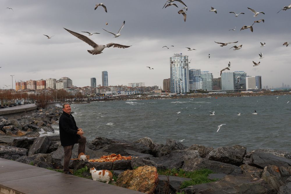 Photograph by Мария Есакова