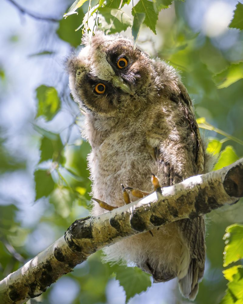 Photograph by Дина Нестеркова