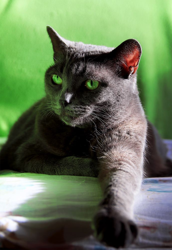 Фотография автора Кулешов Сергей