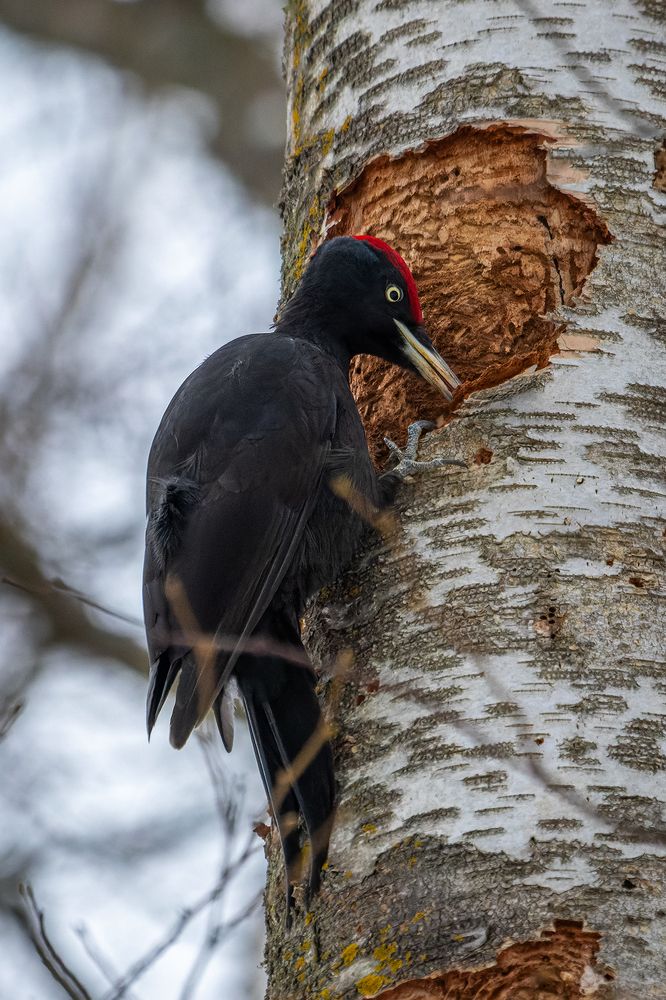Photograph by Вячеслав Орос