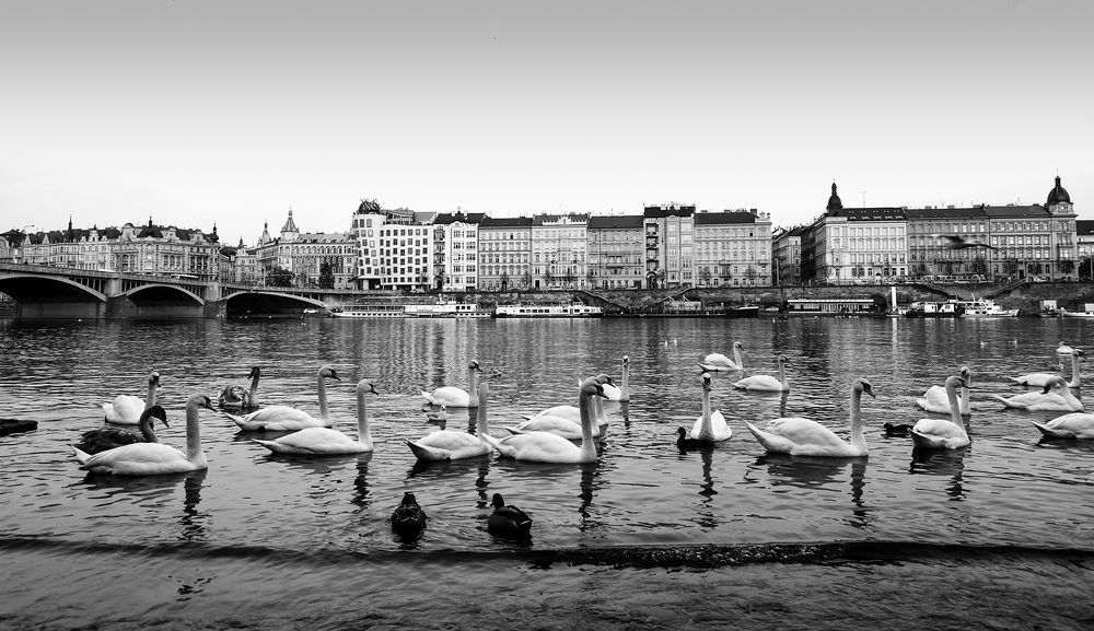 Photograph by Валерия Маркова