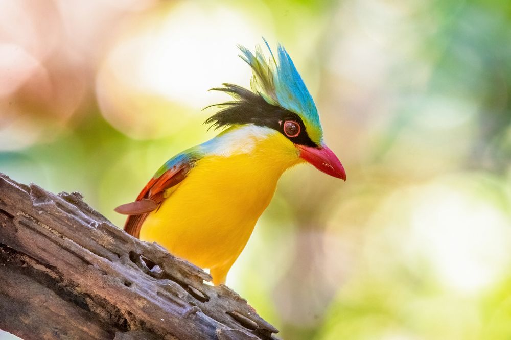 Photograph by Власов Егор