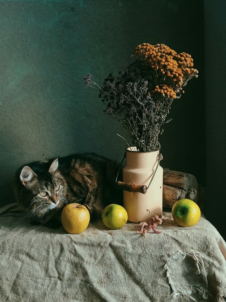 Photograph by Евсеева Валентина