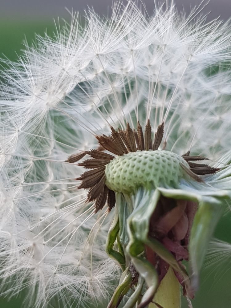 Фотография автора Ольга Шишук