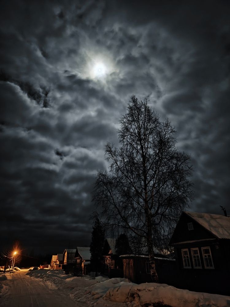 Photograph by Сергей Данилов