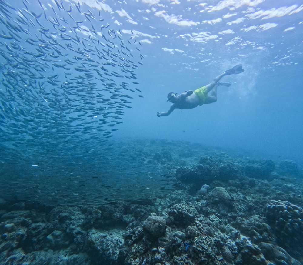 Photograph by Iva Mihalic Krčmar