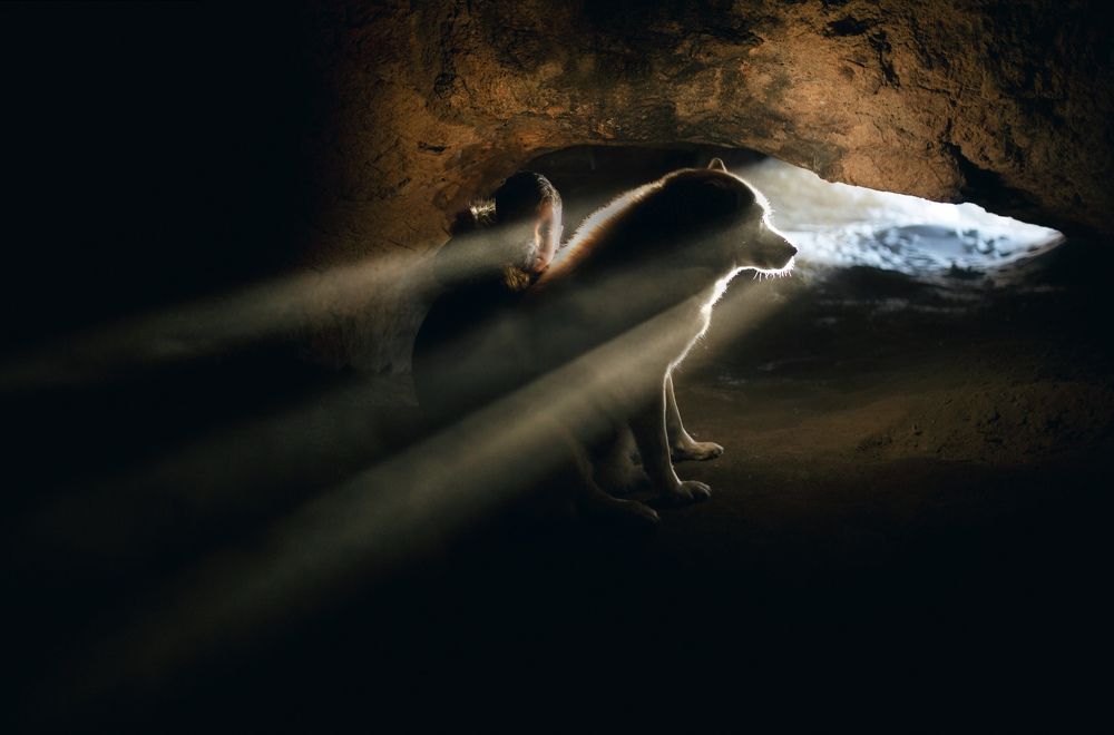 Photograph by Карина Кирина