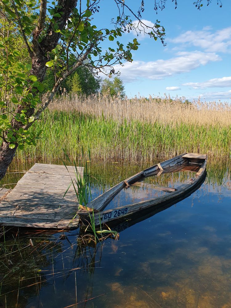 Фотография автора Ольга Шишук