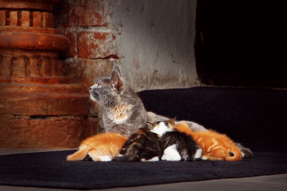 Photograph by Елена Овчинникова