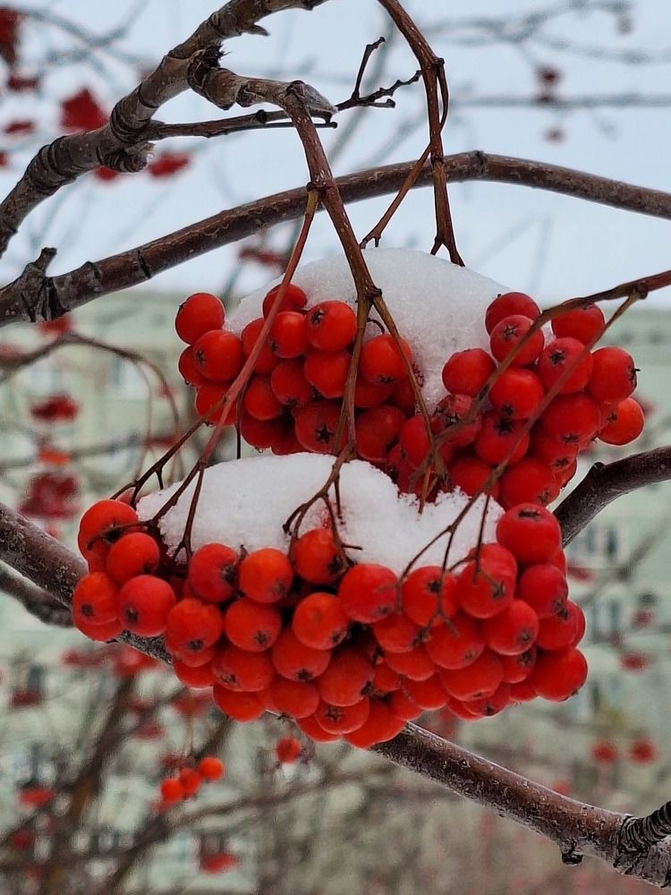 Photograph by Оксана Антипова