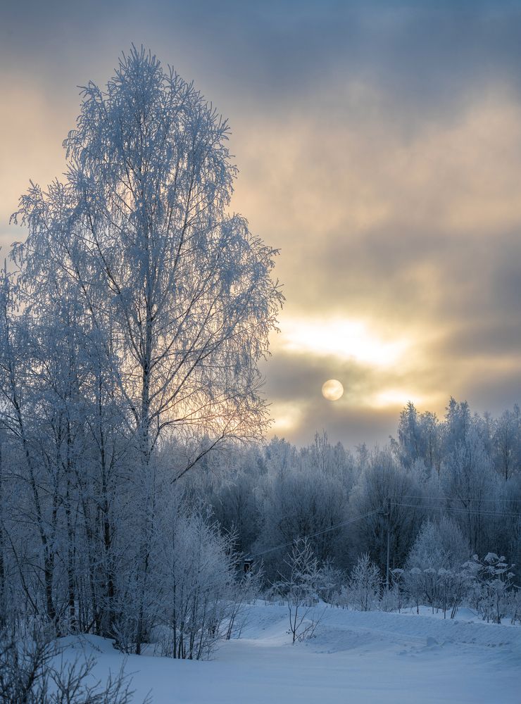 Photograph by Павел Шемякин