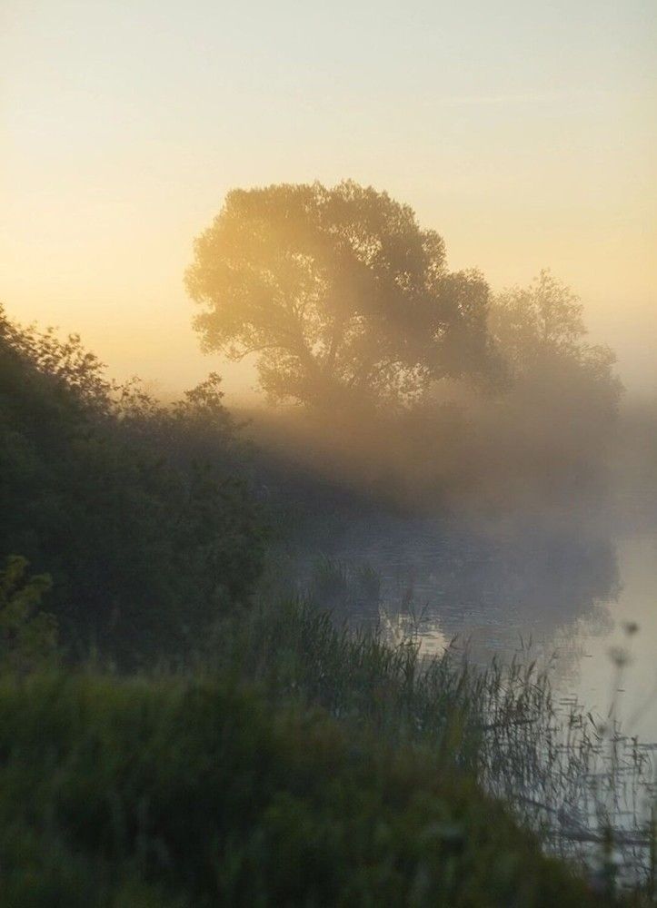 Photograph by Евгений Никонов