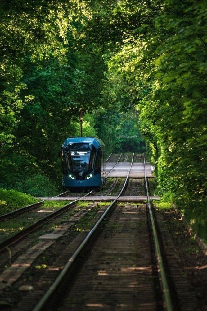 Photograph by Евгений Никонов