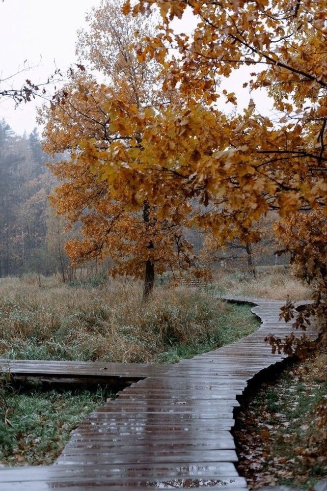 Photograph by Евгений Никонов