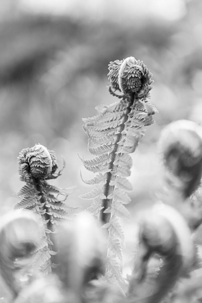 Photograph by Светлана Солдатченкова