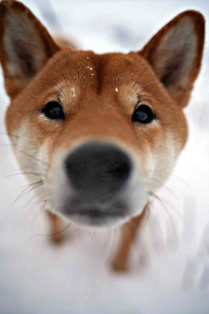 Photograph by pınar ergul