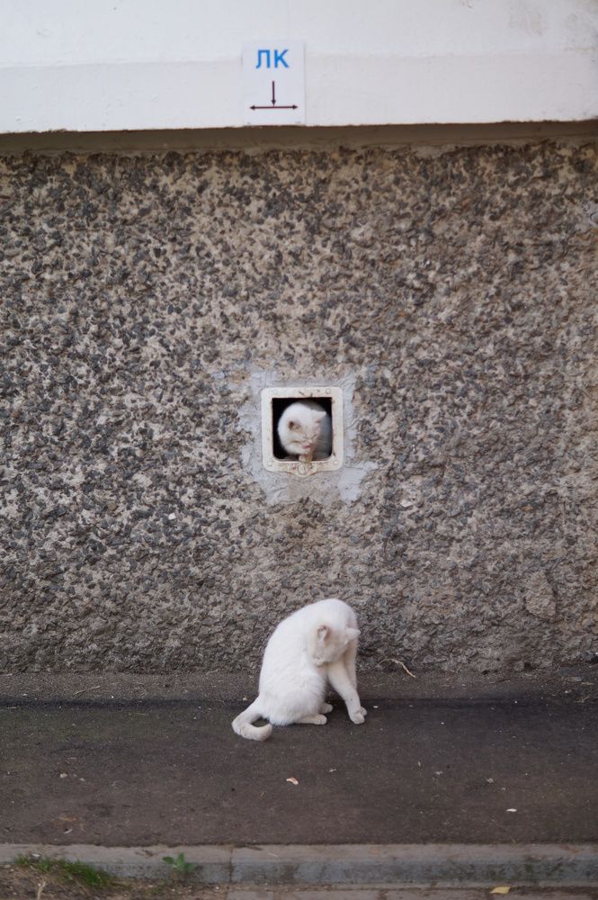 Photograph by Оксана Кобинец