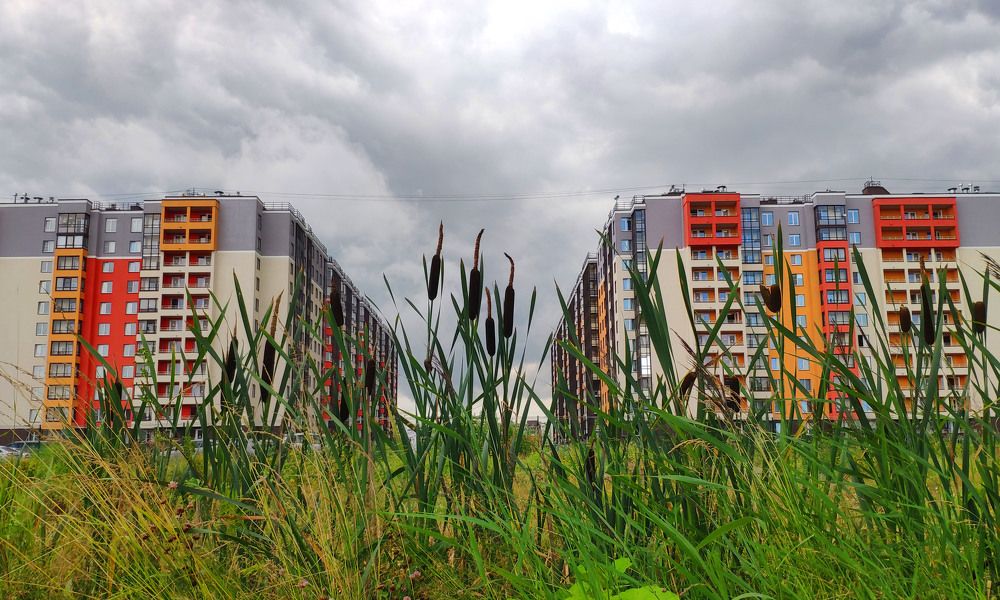 Photograph by Сергей Заподовников