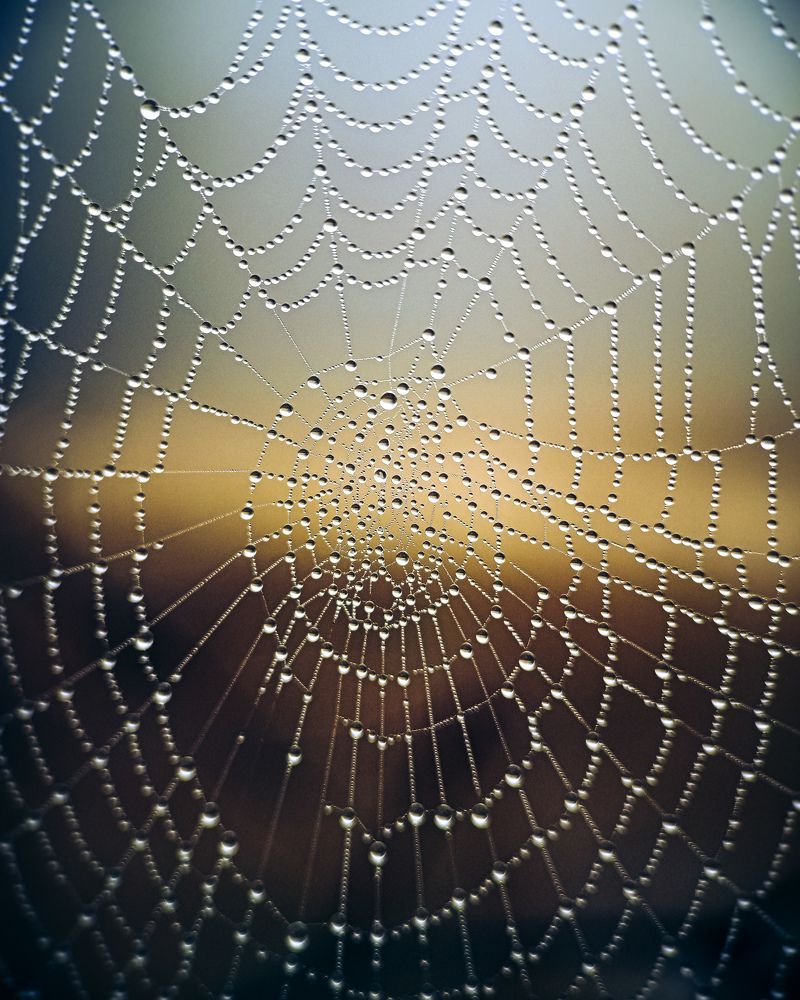 Photograph by Sergey Kolos