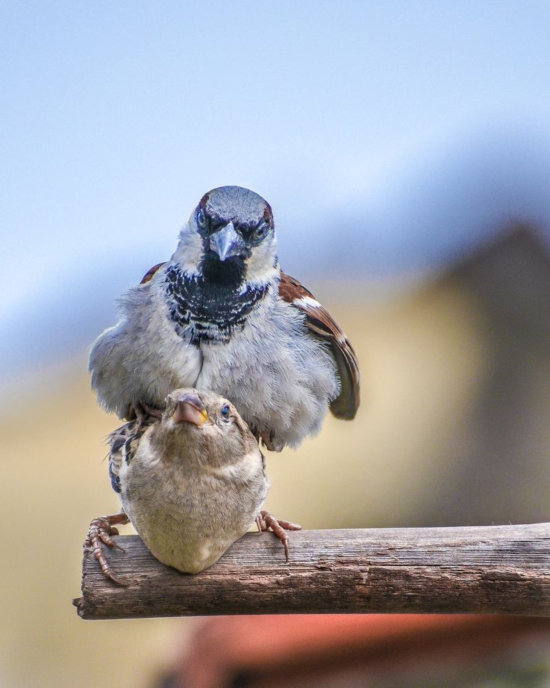Photograph by Deepak Medisetti