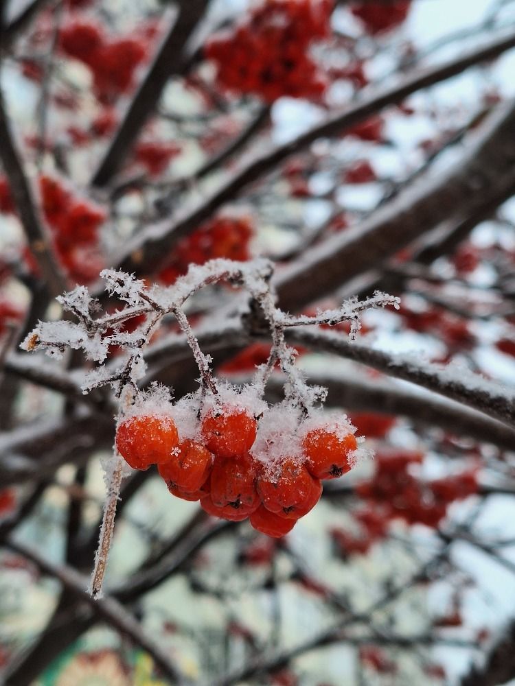 Photograph by Оксана Антипова