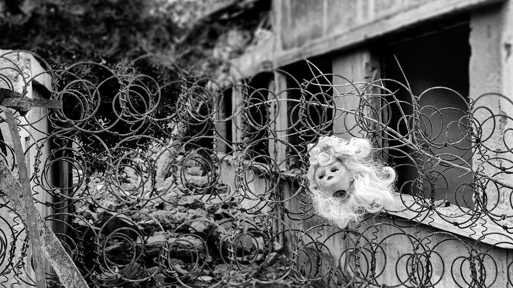 Photograph by mohammad ghaffari