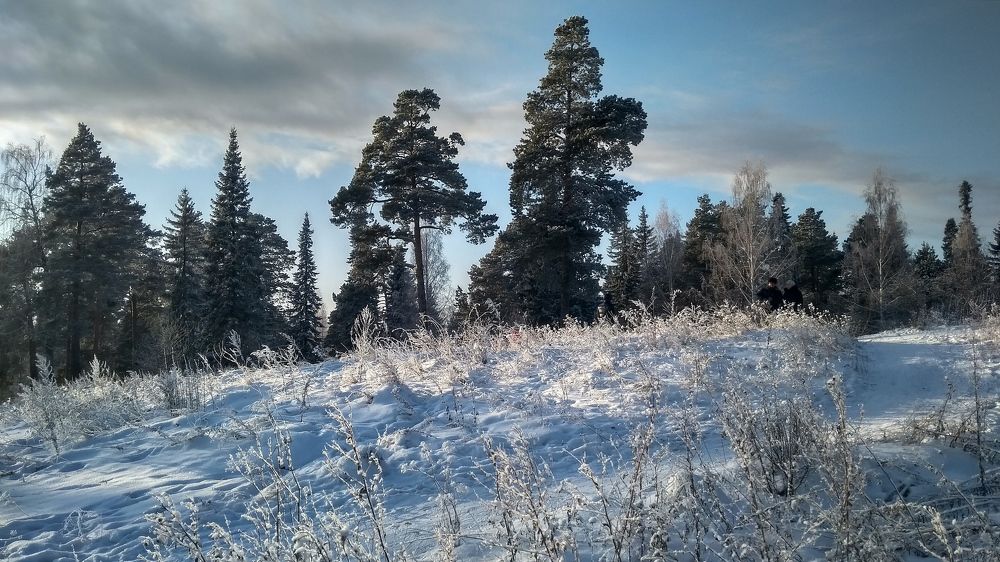 Photograph by Анастасия Мантурова