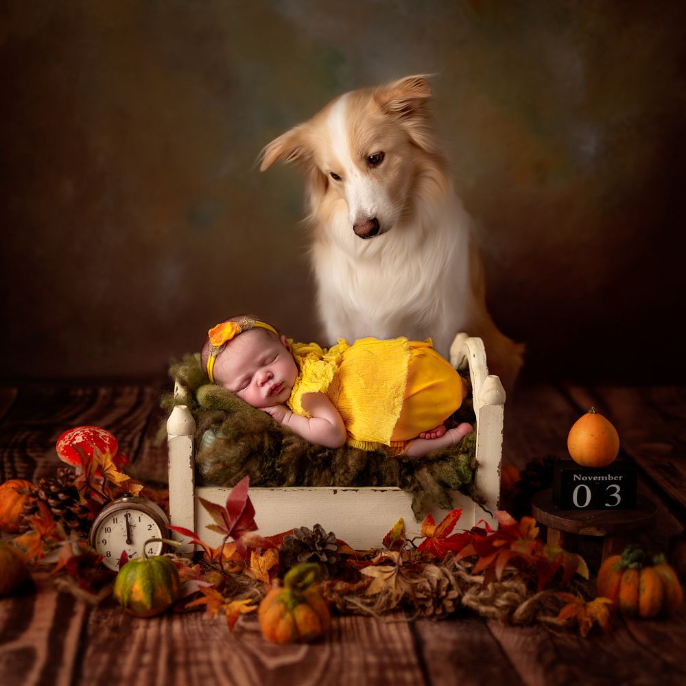 Photograph by Iryna Semeniuk