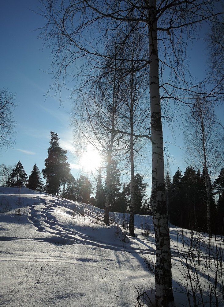 Photo #10413766