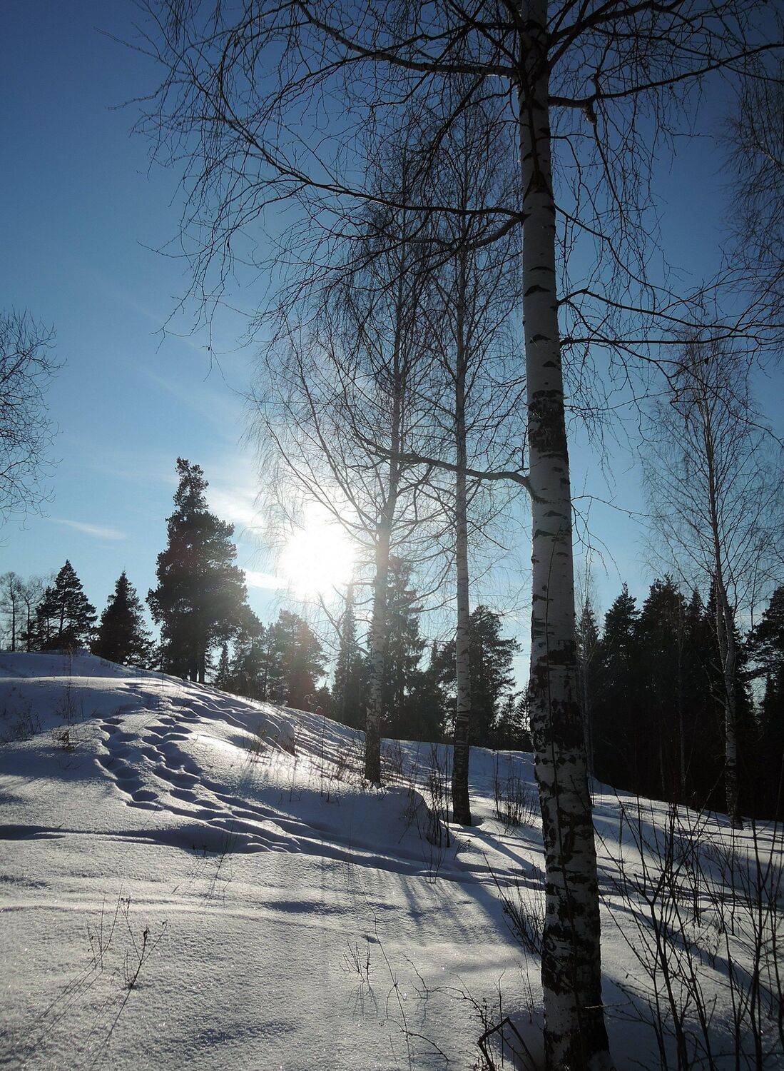 Photo #10413766