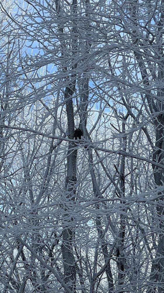 Photograph by Рузанна Гюрджян