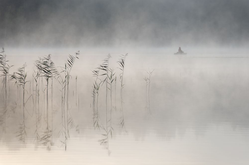 Photograph by Крицак Ольга