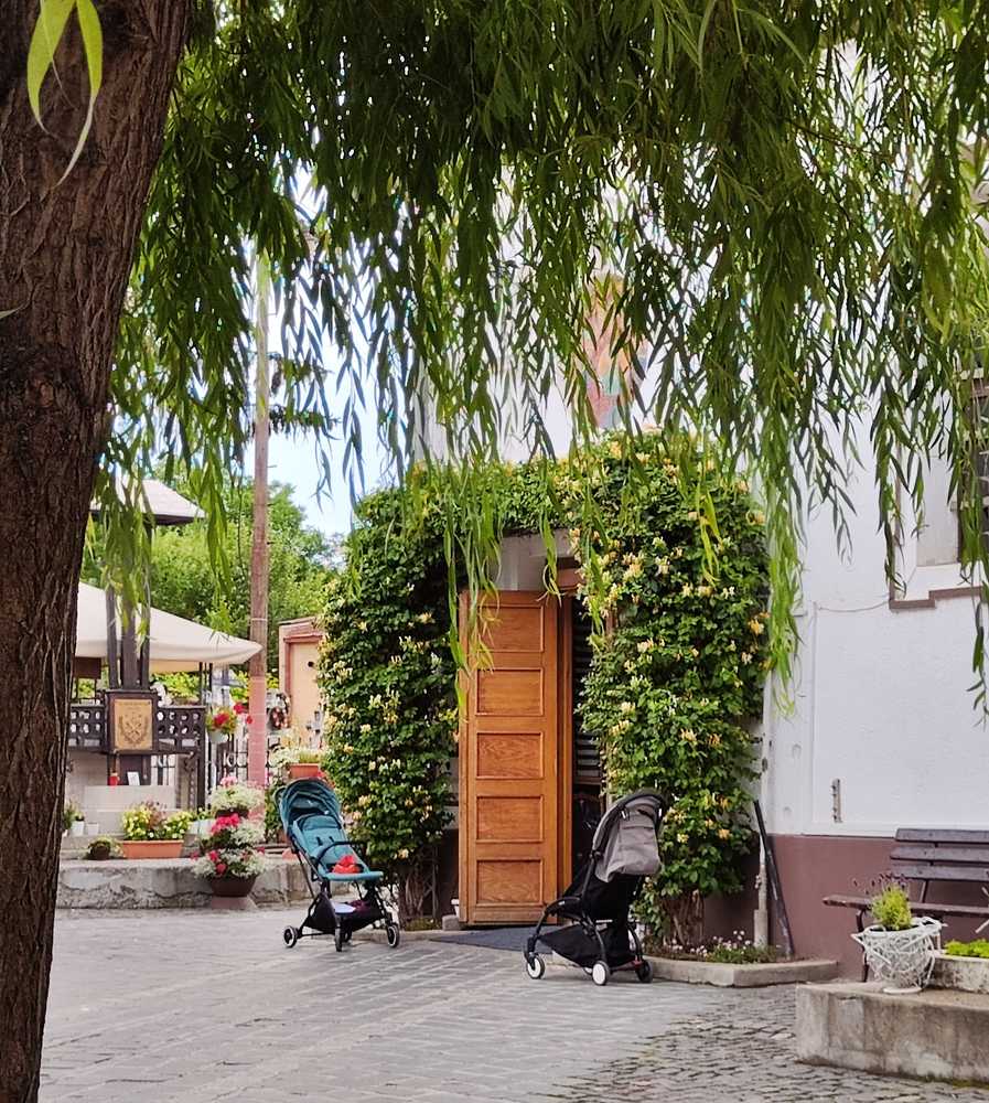 Photograph by rusenescu ramona