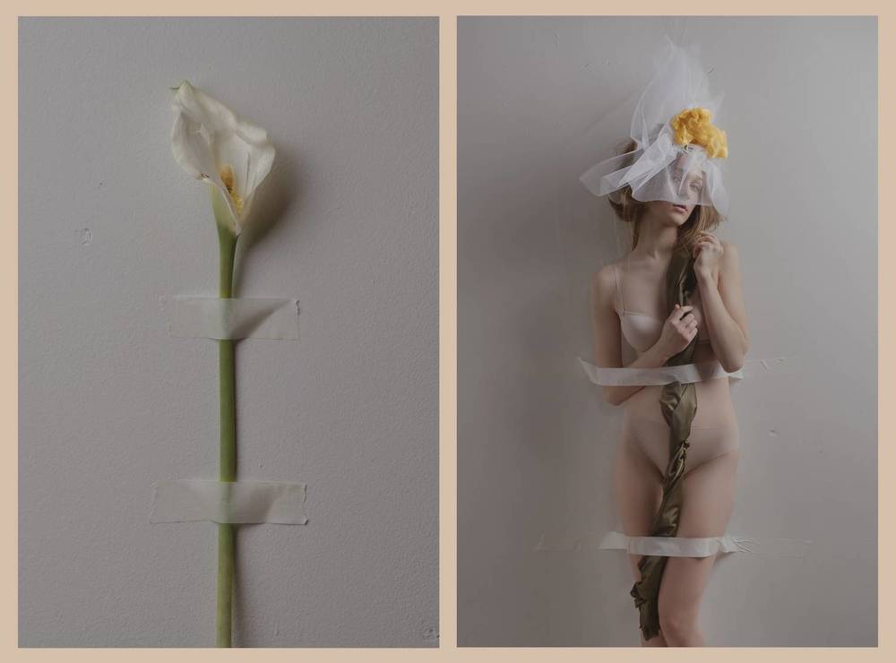 В коллекция