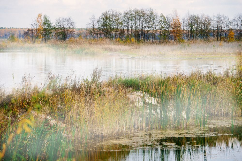 Photograph by Елена Куртеева