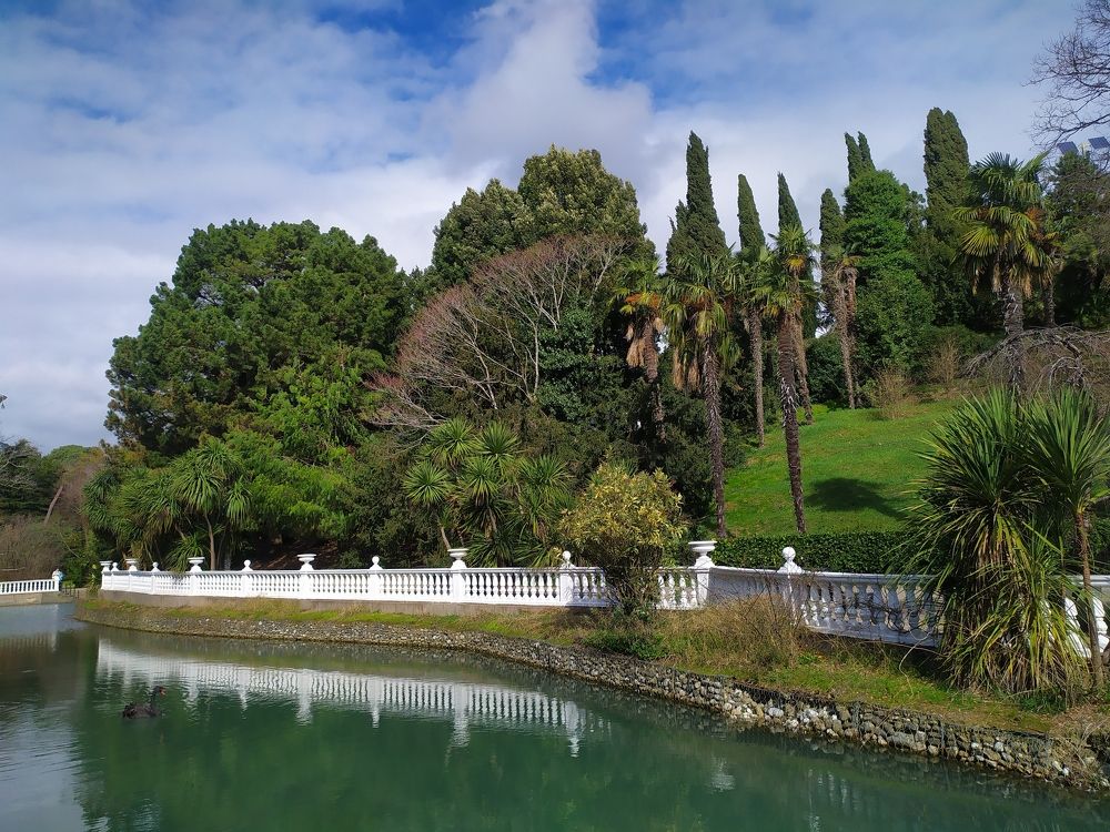 Фотография автора Анастасия Демина