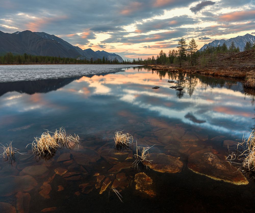 Photograph by Крицак Ольга